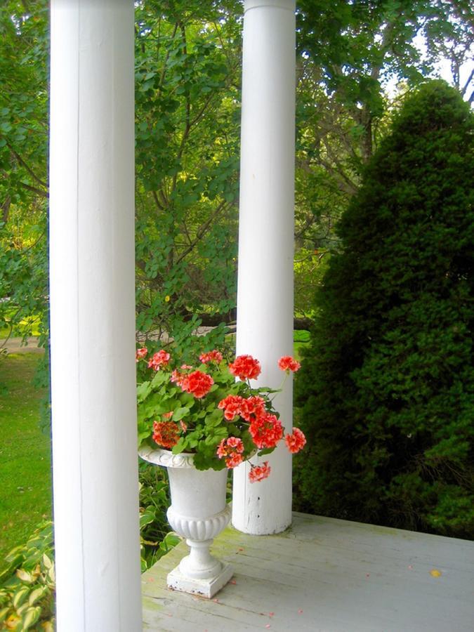 Millbrook Country House Extérieur photo